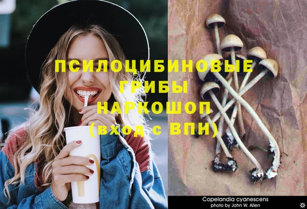 mdpv Алзамай