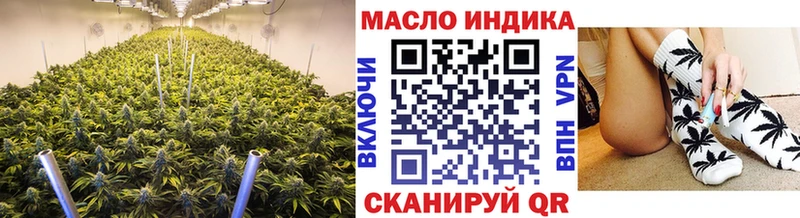как найти   Новопавловск  ТГК концентрат 