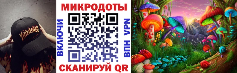 магазин  наркотиков  Новопавловск  Псилоцибиновые грибы Psilocybine cubensis 